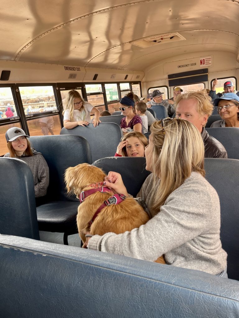 Sarah Klongerbo's dog getting a lot of attention in a school bus